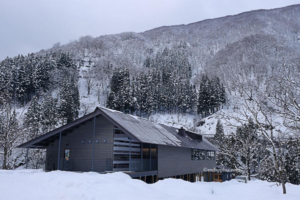 【お知らせ】シェフインタビュー連載始まりました