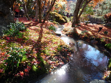 宝厳院庭園