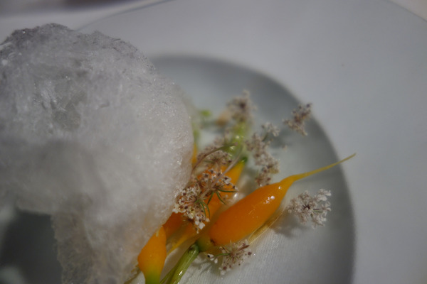 mugaritz_carrot