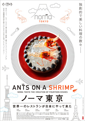 antsontheshrimp