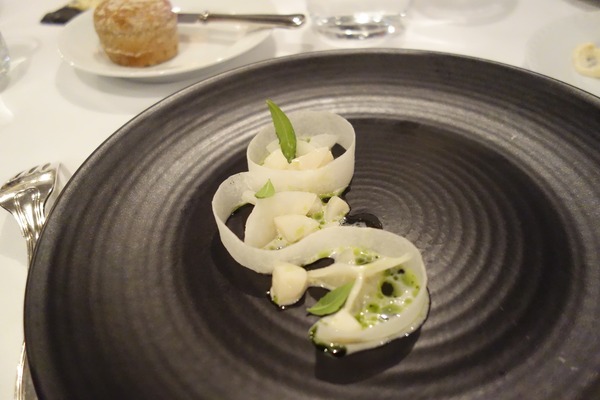 Kokkeriet_scallop